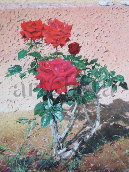 ''Rosas en el jardín de casa'' / ''Roses in the home garden'' Oil Canvas Floral Painting