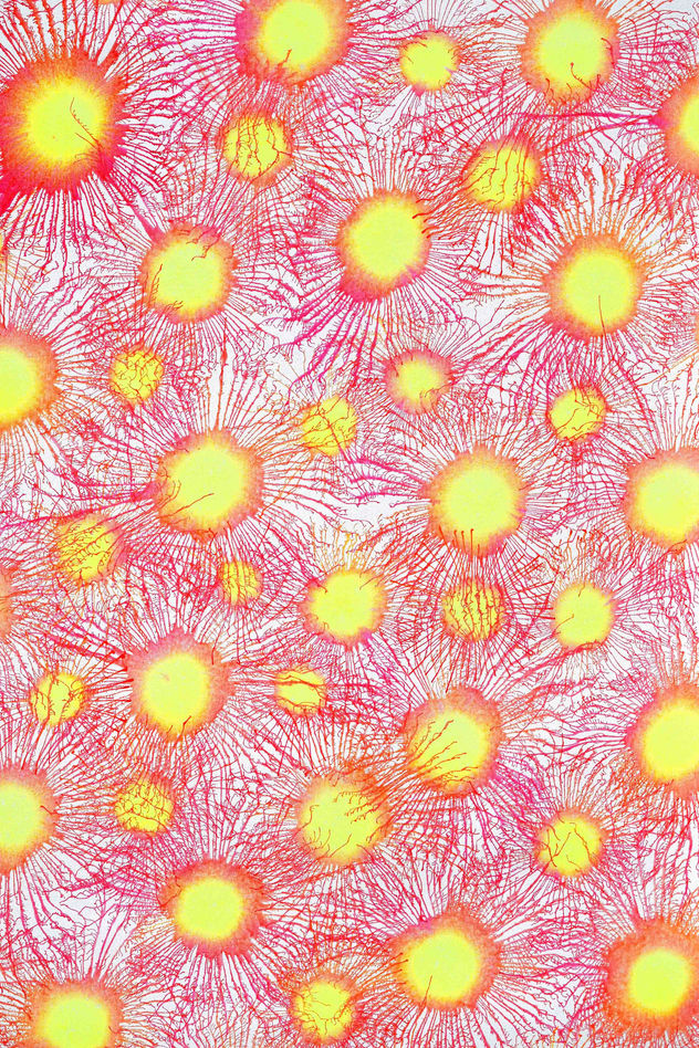 Neoflora Series No. 03