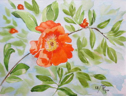 Flor de granado