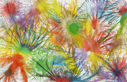 Exploflora Series...