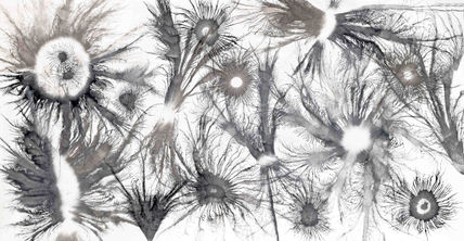 Exploflora Series...