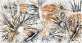 Exploflora Series No. 50
