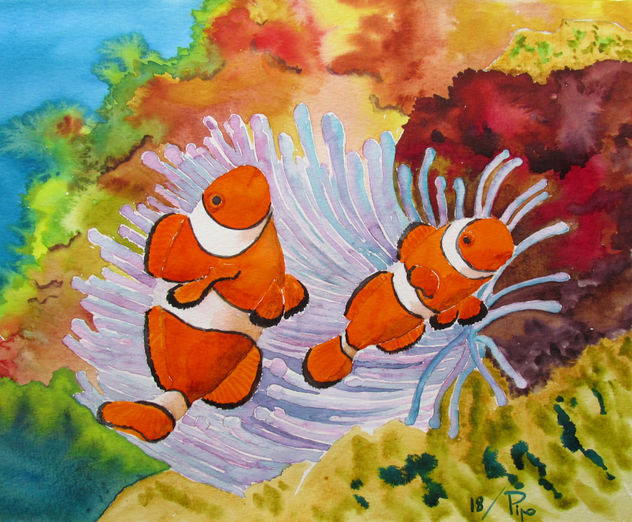 peces payasos
