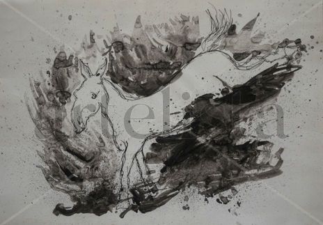 Blanco y negro