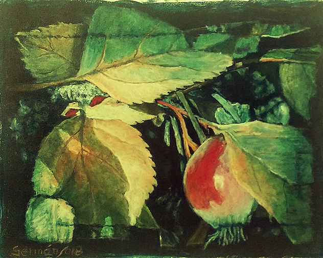 rama árbol con fruto