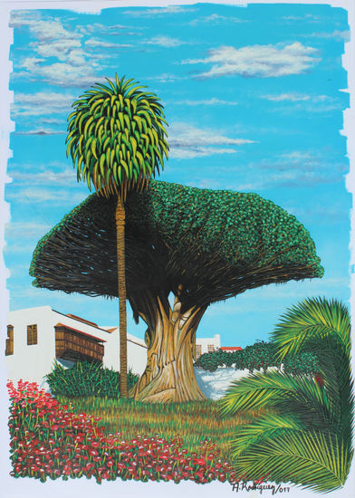 El Drago de Icod de los Vinos Acrylic Card Landscaping