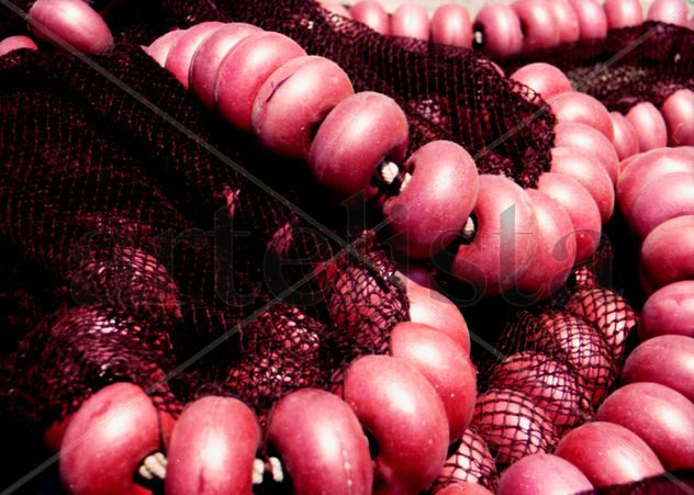 Fishing arts - artes de pesca