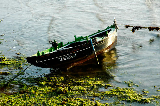 CASEIRIÑA