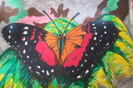 Maripoza solitaria,...