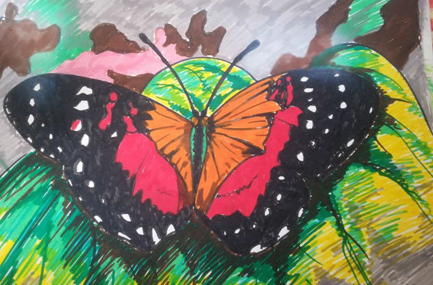 maripoza solitaria, año 2020, constitución, chile.