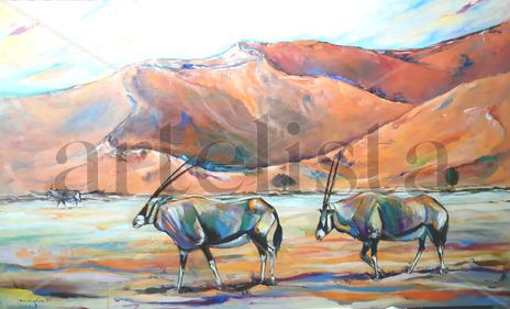 Aires de namibia