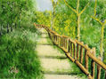 Bosque de Villaviciosa de Odon