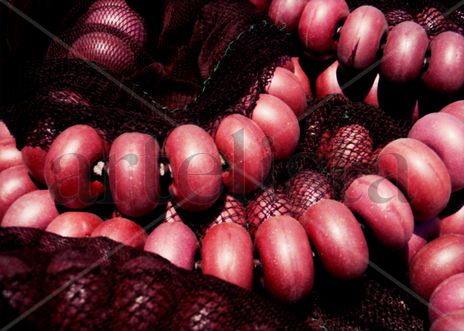 Fishing arts -artes...
