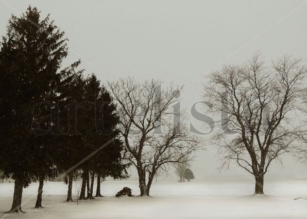 Snowy landscape -Paisaje nevado