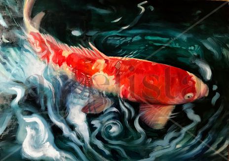 Koi
