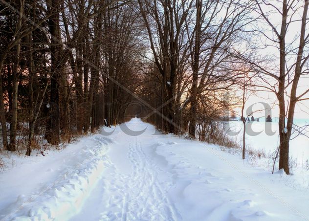 Infinity road , Camino Infinito
