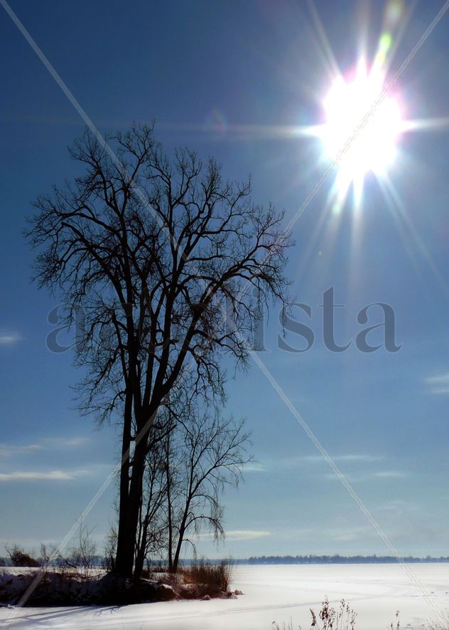 - 40 below zero  , - 40 bajo cero