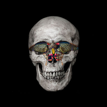 Eyes wide shut