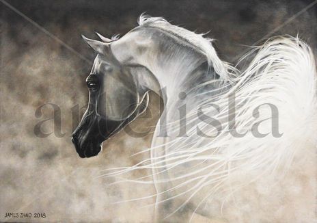 The Angel in White