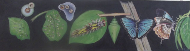 nacimiento de  la mariposa, (Alonzo González, Iquitos, Perú )