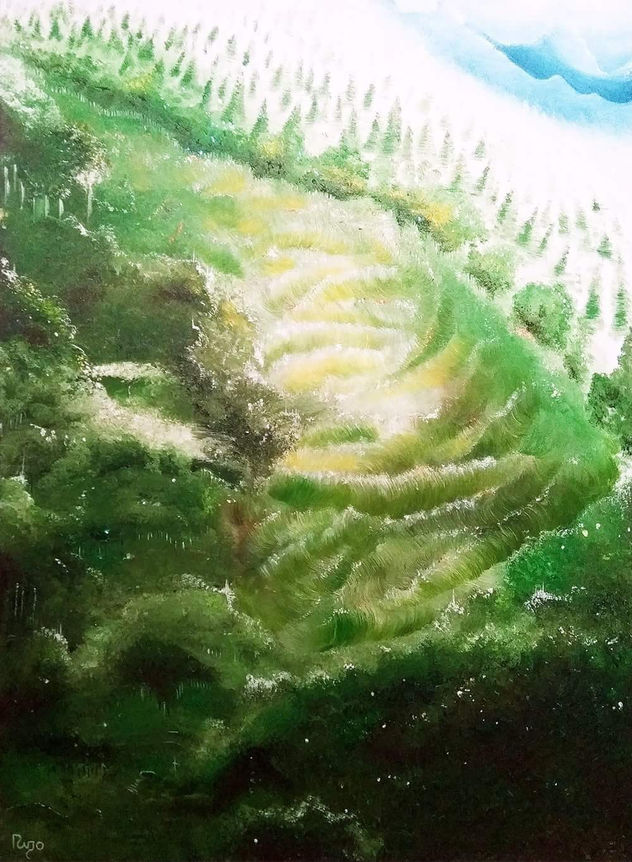 Naturaleza Virgen - Rigo-Art