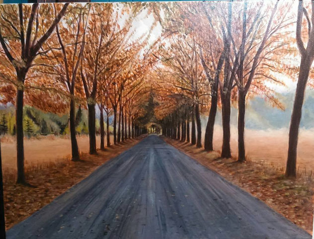 camino a villa baviera 2, (MARIELA ARAVENA, CONSTITUCION, CHILE )