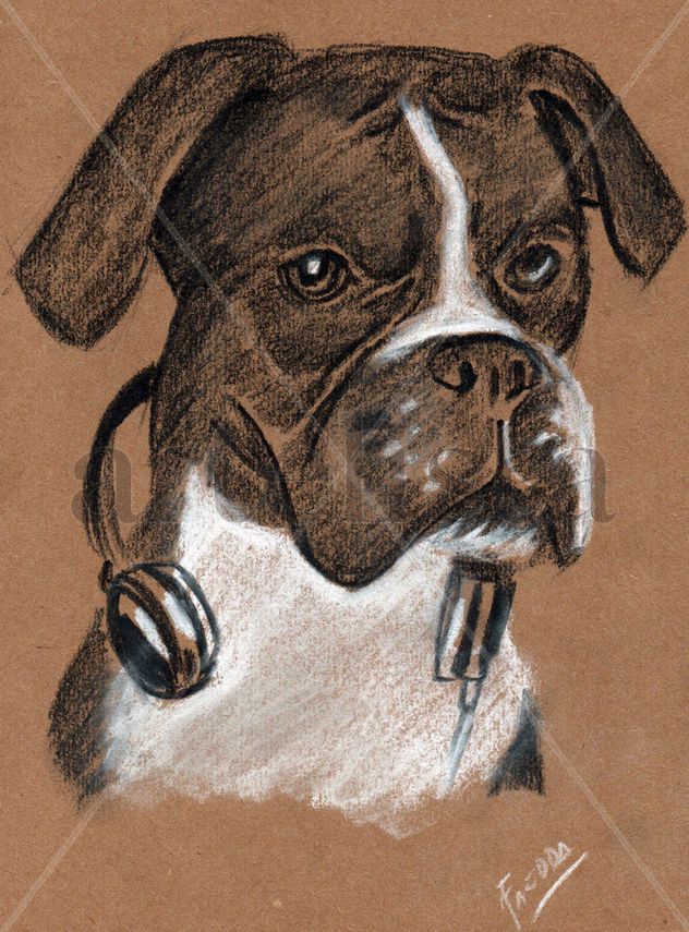Retrato de mascota a pedido