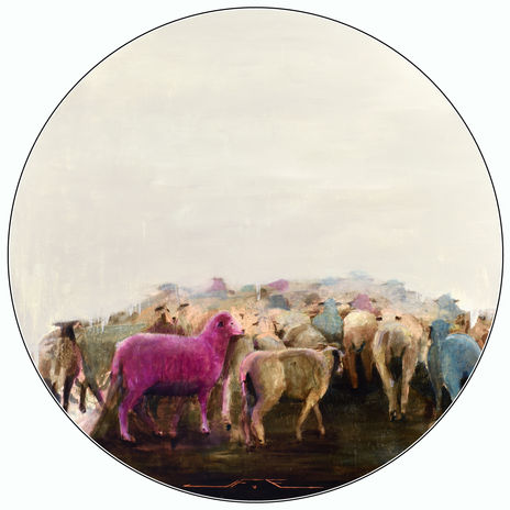 Ovejas 5