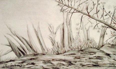 Dibujos