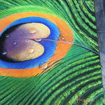 silvestre thumbnail 1