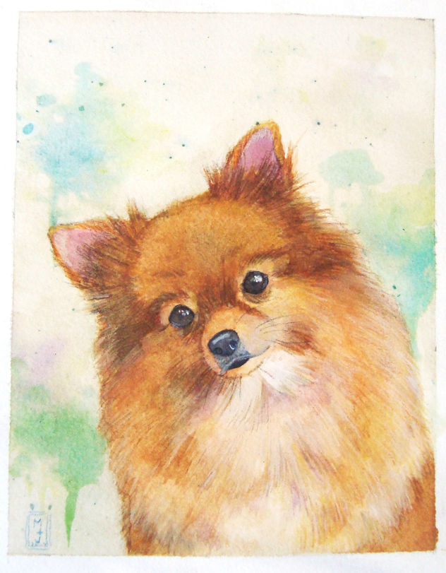 Retrato de perro miniatura acuarela