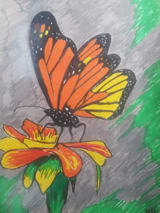maripoza, año 2020, constitución, chile.
