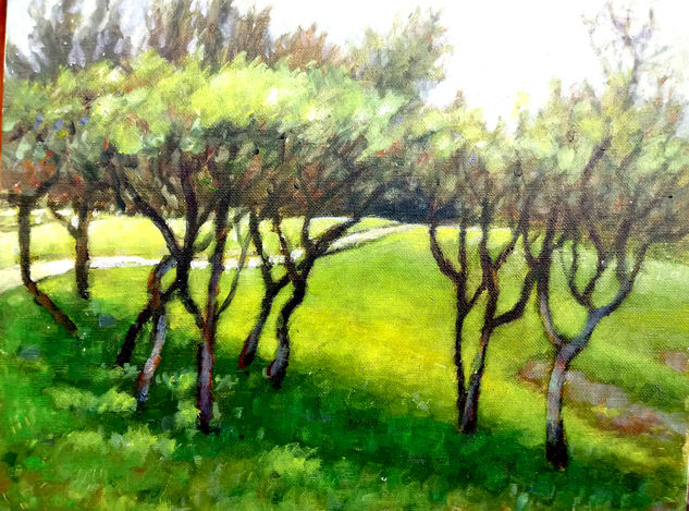 Parque bicentenario 4 Oil Canvas Landscaping