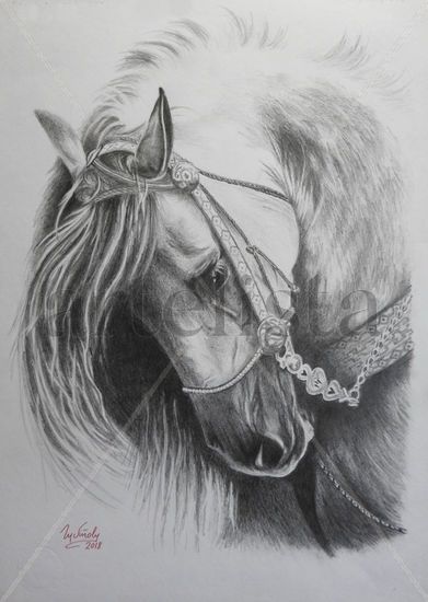 Caballo árabe II Pencil