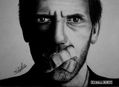 RETRATO DE DR. HOUSE