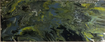 Terra a Vista