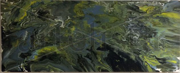 Terra a Vista