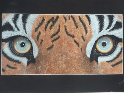 La mirada del tigre