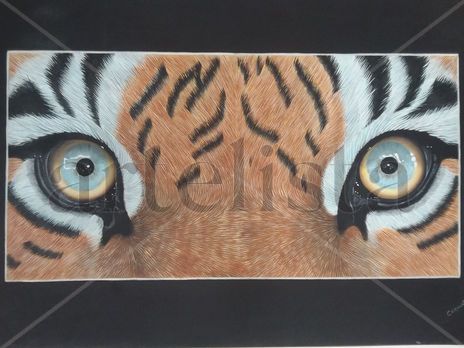 La mirada del tigre