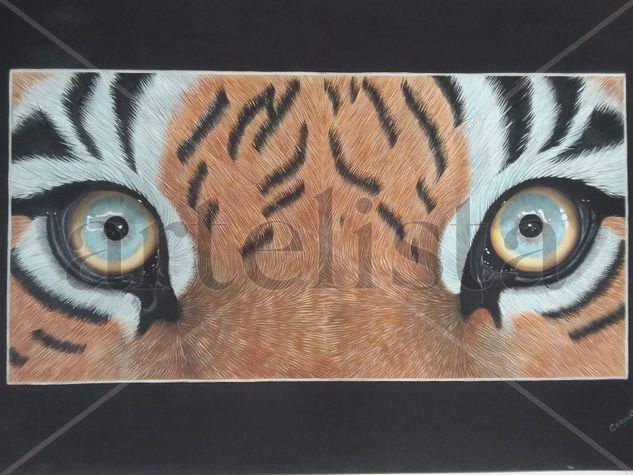 la mirada del tigre Oil Canvas Animals