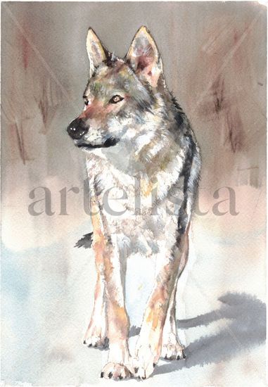 Lobo Watercolour Paper Figure Painting