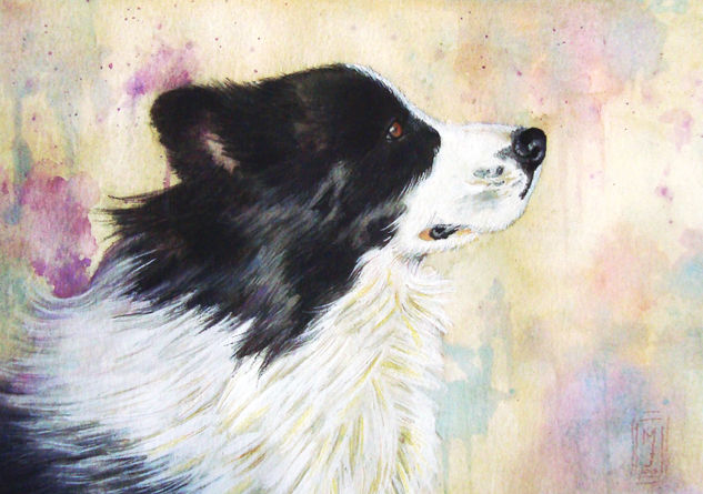 Retrato de Border Collie en Acuarela Acuarela Papel Animales