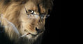 ...Lion
