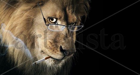 ...Lion