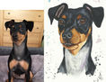 Retrato de mascotas en Acuarela