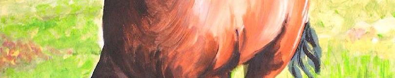 Imagen de portada