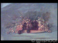 Uvas en Frutero