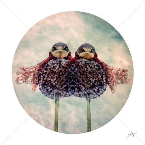 Puedrinas