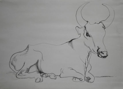 Toro 11