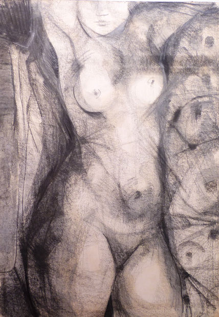Torso
